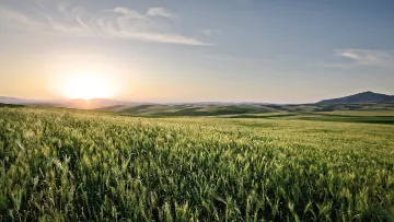 Agrarwetter von BASF Agricultural Solutions Deutschland.